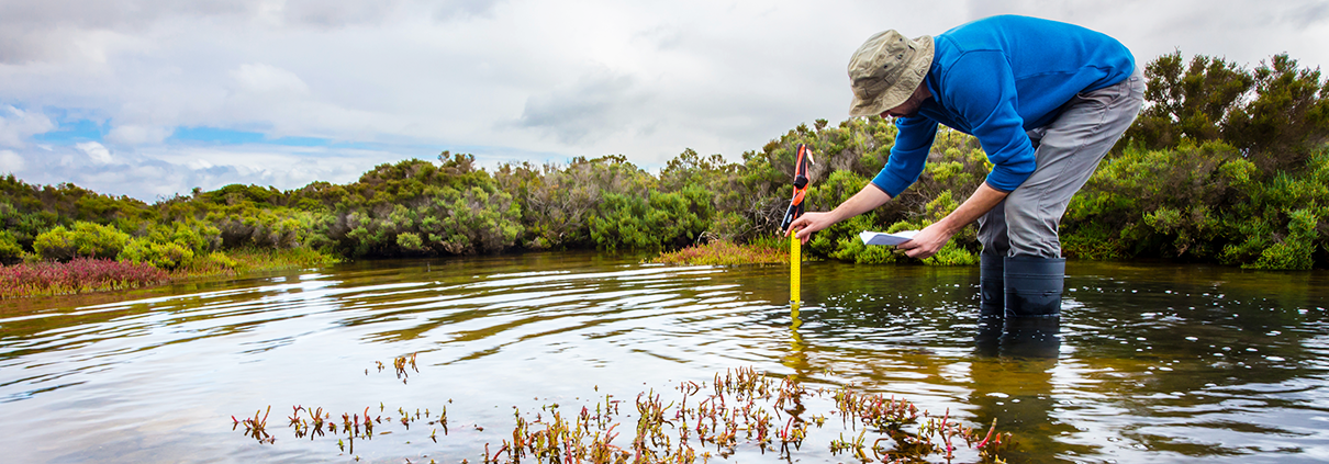 Field assessment of wetland water depth during a Waters of the United States (WOTUS) evaluation