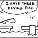 Flying Fish px