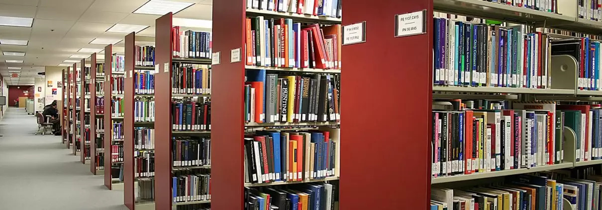 Library Blog